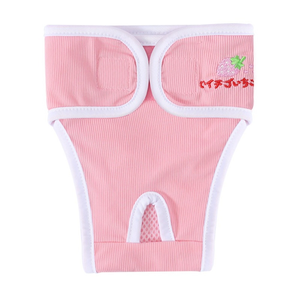 Fruit Print Pet Physiological  – обзор и цена Embroidery Underwear