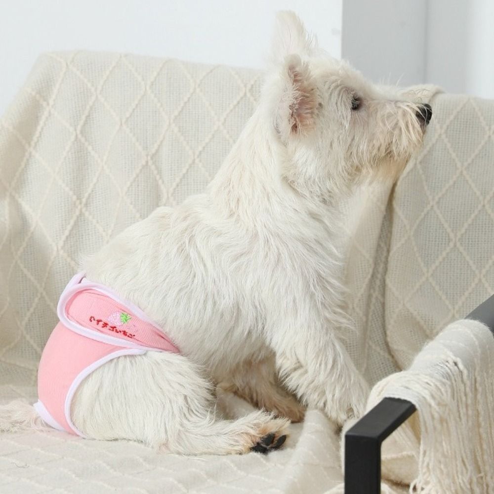 Fruit Print Pet Physiological  – обзор и цена Embroidery Underwear