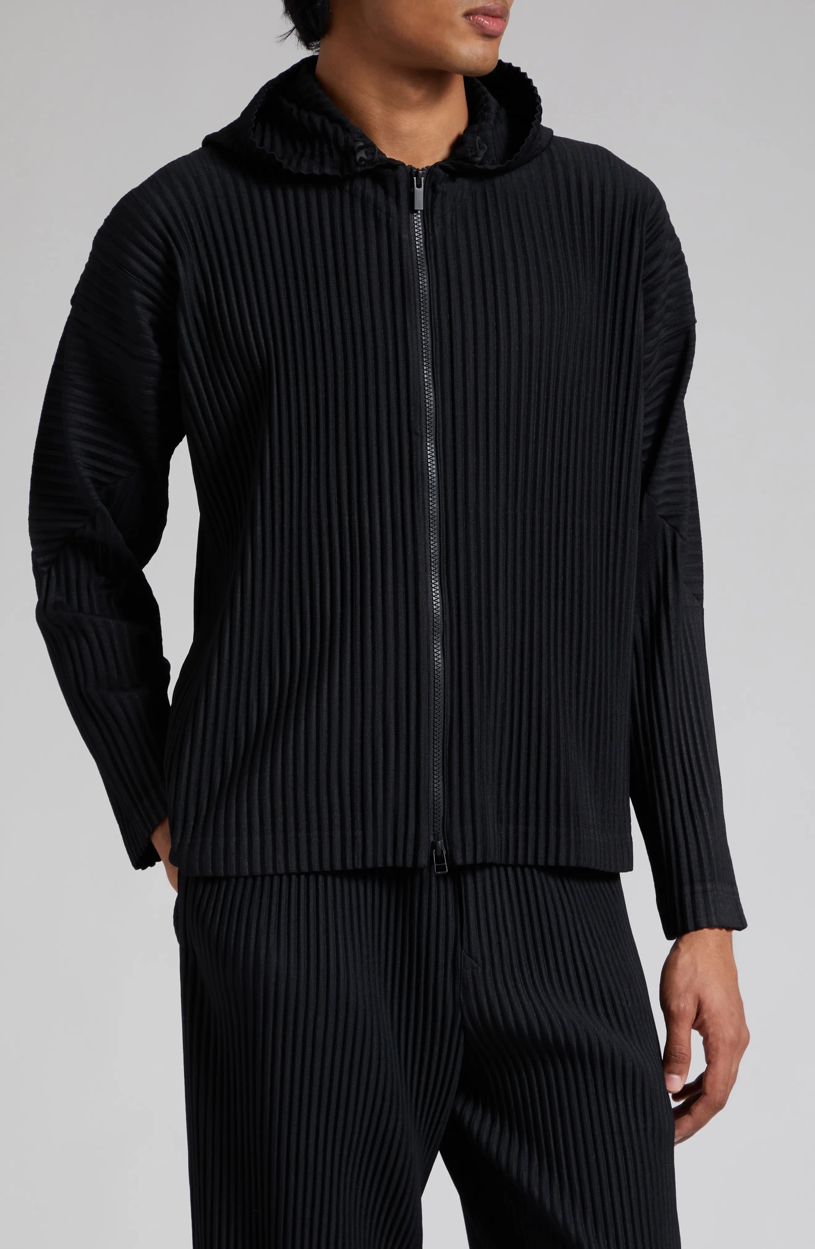 Miyake Pleated Men Zip-up Plis – обзор и цена Embroidery Zip Up Hoodie