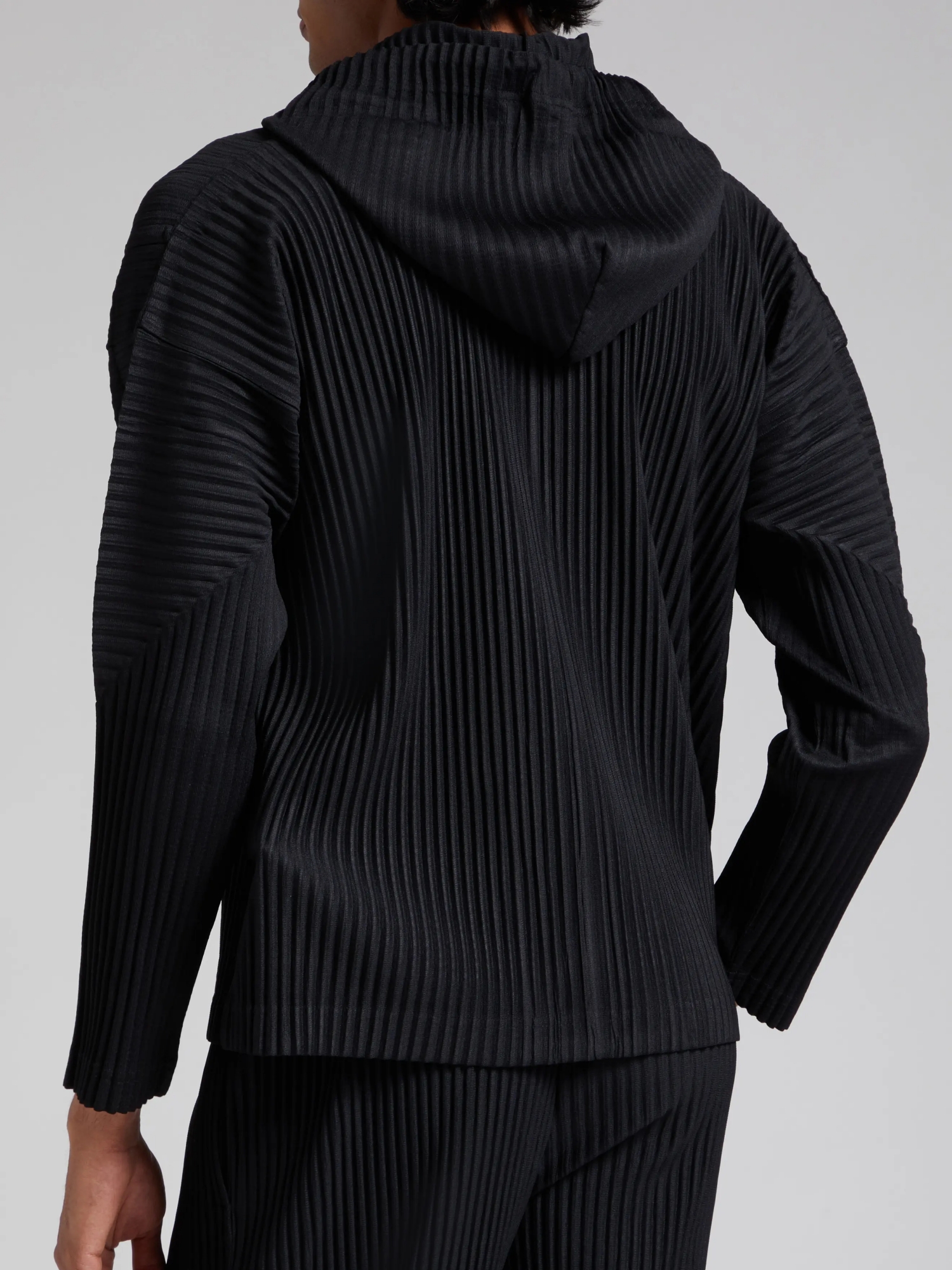 Miyake Pleated Men Zip-up Plis – обзор и цена Embroidery Zip Up Hoodie